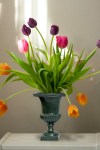 vase_medicis_aubergine.jpg